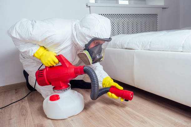 Best Flea Control Services  in Mccook, NE