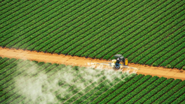 Best Best Pest Control Companies  in Mccook, NE